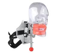 Dental Manikin Simulator Phantom Head Mannequin Head with Detachable Teeth, Bandage Installation 28/32 Teeth (28PCS)