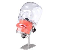 Dental Manikin Simulator Phantom Head Mannequin Head with Detachable Teeth, Height Adjustable, Table Type 28/32 Teeth (32PCS)