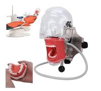 Dental Model Simulator Mannequin Head Resin Stainless Steel Teeth Phantom Training Manikin for Schools Education Practical Demonstration