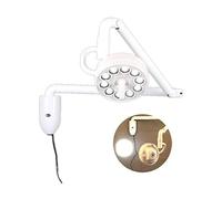 Dental Oral Light Lamp, Medical Examination Lights, Wall Hanging LED Surgical Medical Exam Shadowless Cold Light Dental Surgery Examination Lamp