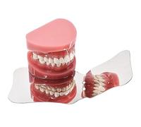 Dental Orthodontic Photography Mirror Oral Mirrors Teeth Stainless Steel Reflector(B)