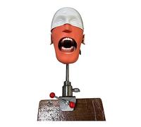 Dental Phantom Head Model, Dental Manikin Head Simulator Unit with Bench Mount, Safe and Odorless, for Dentists Dental Assistants
