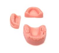 Dental Practice Model Gum Suture Training Silica Gel for Students Oral Training(3 Modules)