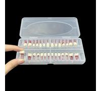 Dental RCT Root Canal Practice Model, Teaching, Study Teeth Model, Endo Teeth, fits with NISSIN Type 28 Teeth Typodont (28pcs/Set)