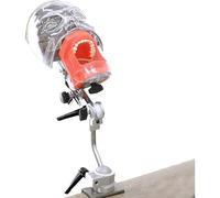 Dental Simulation Manikin Teaching Model Manikin Head Clip-on Desk and Remove Dens Easy to Carry A