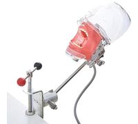 Dental Simulator Manikin Head with Detachable Teeth and 360° Rotatable Head, 1:1 High Emulation for Dental Training Practice A