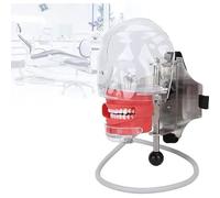 Dental Simulator Mannequin Head - Bonding Tooth Models with Removable Components for Education and Teaching