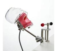 Dental Simulator Mannequin Head- YOUYA DENTAL Typodont Teeth Model Phantom Dexter Head Teeth Model Training Mount Fixed on Desk Training Manikin for Dental Schools Education Practical Demonstration