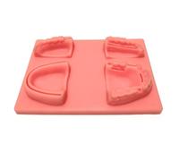 Dental Suture Practice Kit, Suturing Pad, Training Kit for Students and Veterinary Students, 17 * 12cm, 1 Set, 1 Count, Adult