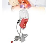 Dental Teaching Head Form Mouth Simulator Phantom Head Mannequin Headtraining Model for Practical Training 1:1 Emulation A