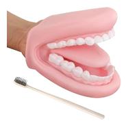 Dental Teeth Model - Educational Educational Instrument Mobile in PVC 12 x 8.5 cm | Puppet from Dental Model - for Children Travelling Schools at Home Car Kindergarten