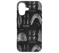 Dental Theme Vintage Human Teeth Anatomy Graphic Case for iPhone 17