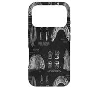 Dental Theme Vintage Human Teeth Anatomy Graphic Case for iPhone 17 Pro