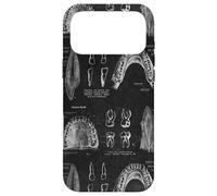 Dental Theme Vintage Human Teeth Anatomy Graphic Case for iPhone 17 Pro Max