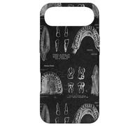 Dental Theme Vintage Human Teeth Anatomy Graphic Case for iPhone Air