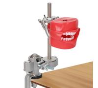 Dental Typodont Mounting Pole Stand, Removable Teeth, 360° Rotating, Fully Adjustable, Compatible with Kilgore, Columbia, Nissin & Frasaco, Ideal for Dental Education and Hands-On Practice