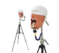 Dental Typodont Teeth Model Dental Simulator Manikin Phantom Head,Educational Dental Typodont with Removable Teeth,Tripod Phantom Head for Dental Simulation, Practice, Teaching
