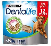 Dentalife Large 3x12 Sticks (36 Sticks)