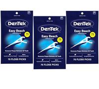 DenTek, Complete Clean Floss Picks 75 Floss Picks Pack of 3, 225 Count