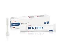 Dentisept Toothpaste - 20g