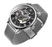 Dentily Men's Skeleton Watch Classic Roman Numeral Steampunk Mechanical Watch Hand-Wind Mens Watches (Blue), silver&black, Mechanical