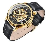 Dentily Men's Skeleton Watch Classic Roman Numeral Steampunk Mechanical Watch Hand-Wind Mens Watches (Blue), black&gold2, Mechanical,Skeleton Watch