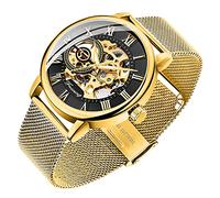 Dentily Men's Skeleton Watch Classic Roman Numeral Steampunk Mechanical Watch Hand-Wind Mens Watches (Blue), gold&black, Mechanical,Skeleton Watch