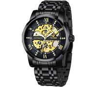 Dentily Men's Watch Mechanical Stainless Steel Skeleton Automatic Waterproof Business Watches for Men…, black, Mechanical,Automatic Watch