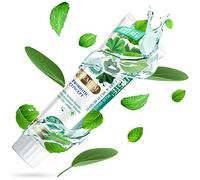 Dentiste Plus White Premium Toothpaste | Ayurvedic, 14 Herbs, Xylitol, Probiotics, Whitening Effect | Tube Helps to Build up Gums and Tooth Enamel | 100g, Peppermint Taste