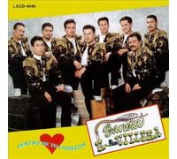 Dentro De Tu Corazon by Banda Novillera (1995-06-13)