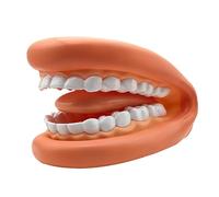 Denture Study Accessory - Folding Practice Set, Safe and Material Construction, Easy Carry Design | Hygiene Instructor Resources, Exercises