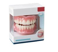 Dentures, Shaping Silicone Denture Set, Full Denture Set, Silicone Reline Denture Set for Women, Soft and Comfortable (1pcs)