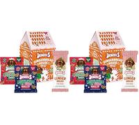 Denzel’s Christmas Dog treats - Gingerbread House Gift Box for Dogs (140g) (Pack of 2)