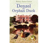 Denzel The Orphan Duck