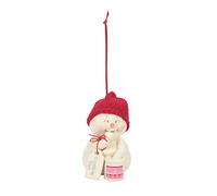 Department 56 Snowpinions Cookie Diet Hanging Ornament, 3.94 Inch, Multicolor
