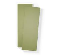 Department Shelf for Store Cabinet with 2 Doors Set of 2 Moss Green