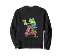 Departure Delayed Due to Lack of Common Sense Funny Frog Sweatshirt