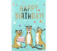 Depesche Jump Outs 11793-012 Greeting Card with Music, Funny Birthday Card with Colourful Motif, Matching Saying and Text Inside