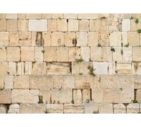 DePhoto 7x5Ft Western Wall Backdrop Ancient Jerusalem Backdrop Yellow Brick Backdrops for Photography Israel Background Religious Wailing Wall Background for Party Photo Booth Props