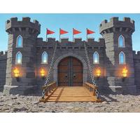DePhoto 8x6FT Medieval Castle Backdrop Medieval Arches Entrance Door Stone Wall Red Flag Background for Kids Boys Knight Castle Birthday Party Supplies