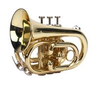 Depisuta Pocket Trumpet Kit, Bb Flat Brass Trumpet for Beginners & Students, Ni Plated Pocket Trumpet with 7C Mouthpiece, Cleaning Cloth, Gloves, Strap, Carrying Hard Case (Gold)