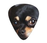 Depressed Chihuahua - Guitar Picks-12 Pack Includes Thin, Medium & Heavy Gauges, Best Gift for Guitar Lovers