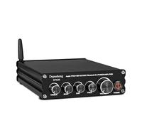 Depusheng DPA30 Stereo Audio Receiver Amplifier 2.1 Channel Mini Hi-Fi Bluetooth 5.0 Audio Component Amplifier 50 Watt x2+100 Watt for Home Outdoor Passive Speakers Subwoofer