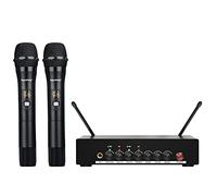 Depusheng DR20 Professional Wireless Microphone Dual Portable Microphone UHF Radio Receiver Suitable for KTV Family K Song Stage Performance Bluetooth