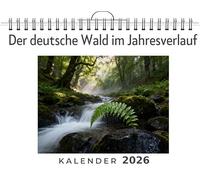 Der deutsche Wald im Jahresverlauf: Wandkalender 2026, Kalender DIN A4 quer, Monatskalender im Querformat mit Kalendarium, das perfekte Geschenk