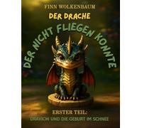 DER DRACHE DER NICHT FLIEGEN KONNTE: 365 TAGE VOLLER GESCHICHTEN (Band 1 von 4: Dravion und die Geburt im Schnee)