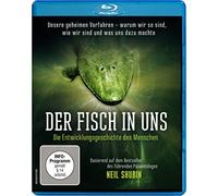 Der Fisch in uns - Die Entwicklungsgeschichte des (Lehrprogramm) Blu-Ray