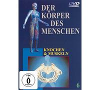 Der Körper des Menschen 6 - Knochen und Muskeln [DVD]