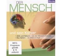 Der Mensch und sein Körper, Teil 1: Die Zelle & Geburt, Das Gehirn