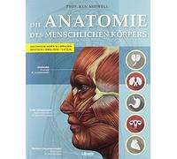 Der Menschliche Körper